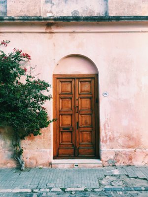 Every Shul Has a Door